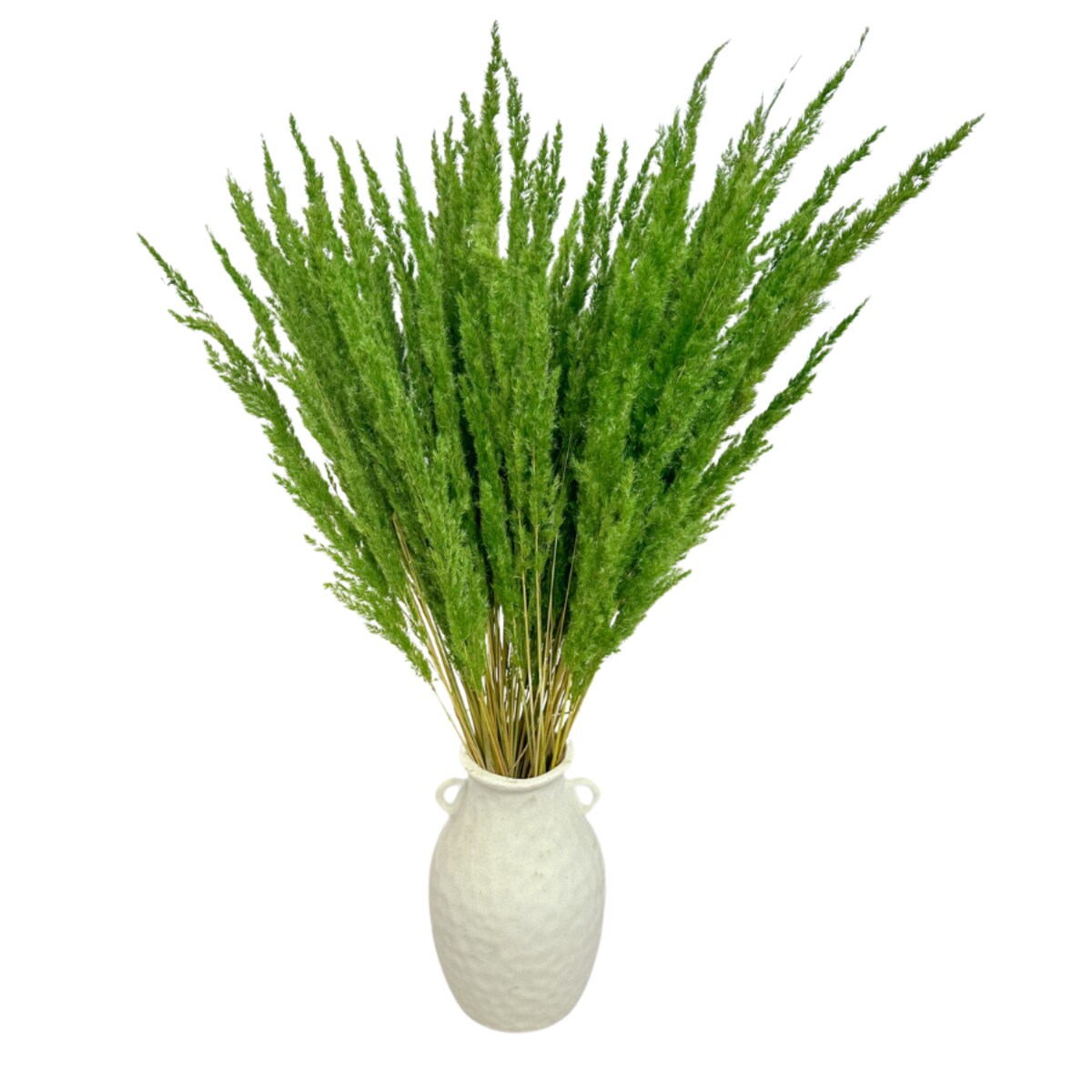 Suszona trawa leśna zielona