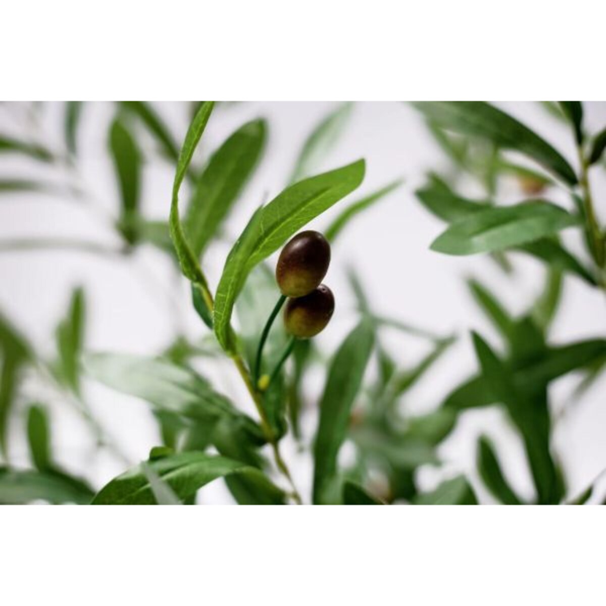 DUŻE DRZEWKO OLIWNE - 210 cm