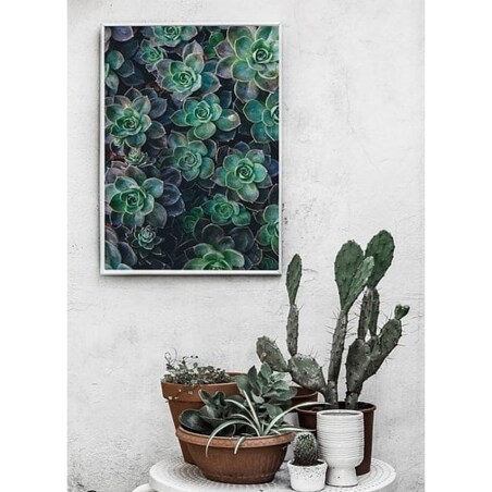 Poster Story, Plakat, Obraz - Sukulenty, wymiary 21 x 30 cm
