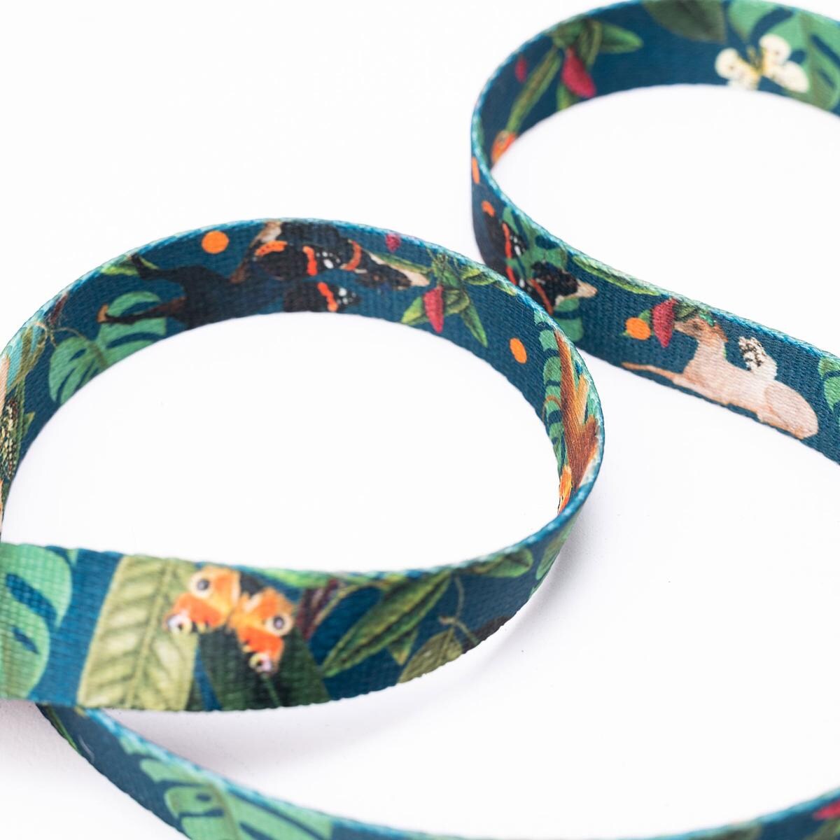 Obroża dla psa lub kota "Psikolaż" - Szerokość taśmy: 38mm, Rozmiar: XS