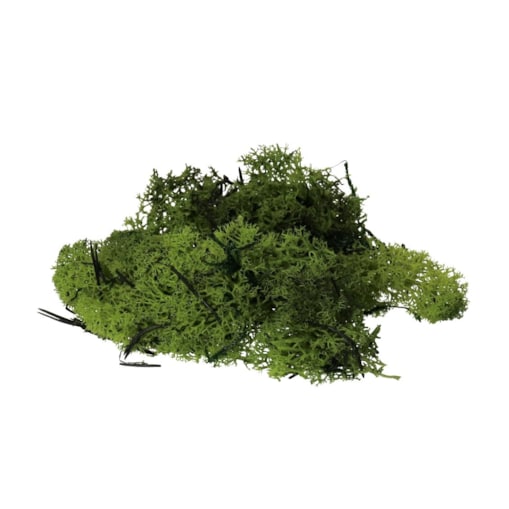 Mech Chrobotek 35G Ozdoba Naturalna Dekoracja