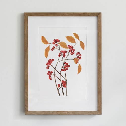 Plakat aronia czerwona 30x40cm