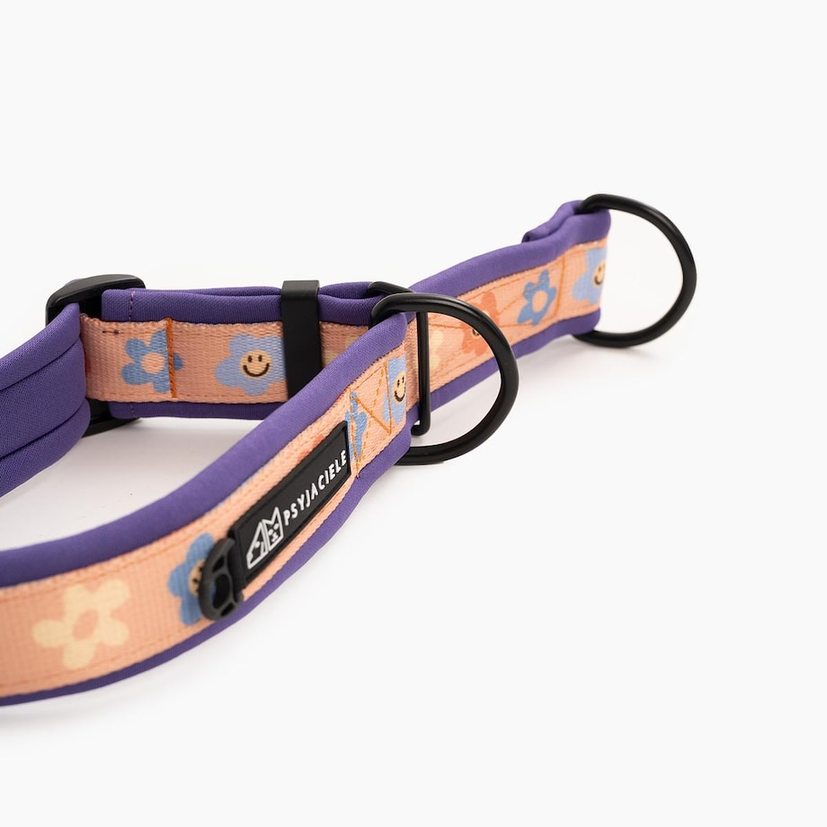 Obroża półzaciskowa SUPER SOFT "Oopsy Daisy" - Szerokość taśmy: 38mm, Rozmiar: M