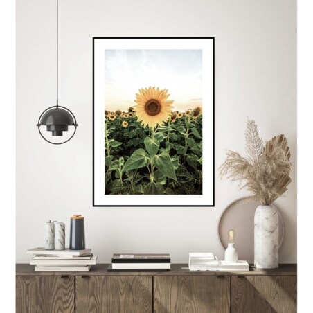 Poster Story, Plakat, Obraz - Pole Słoneczników, wymiary 21 x 30 cm
