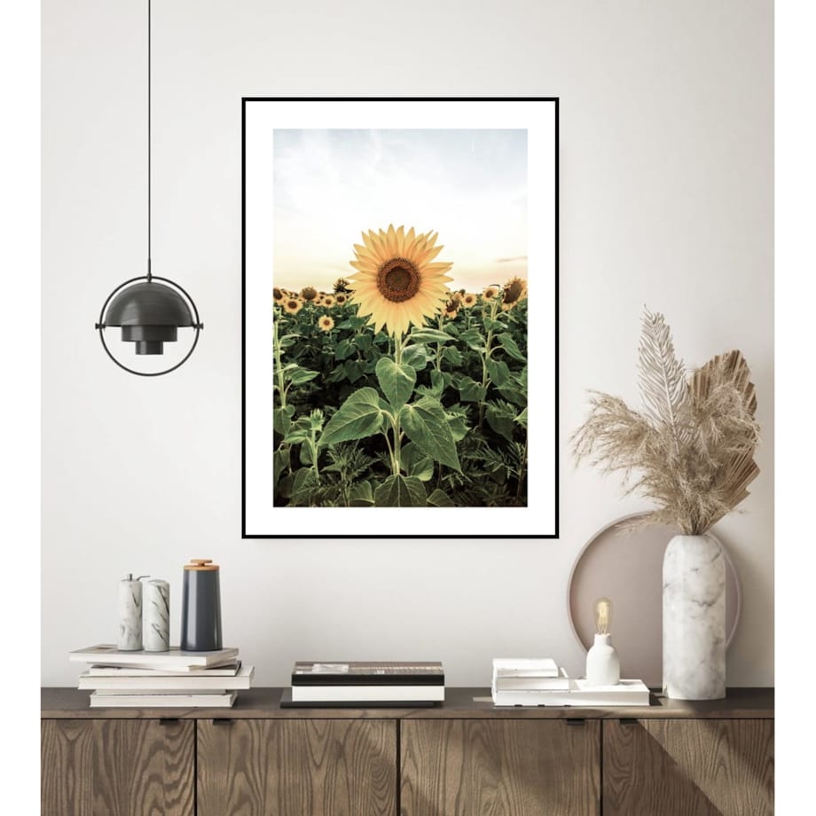 Poster Story, Plakat, Obraz - Pole Słoneczników, wymiary 21 x 30 cm