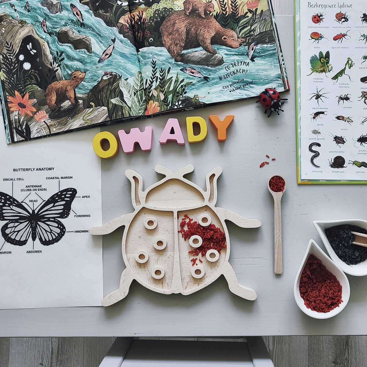 Drewniana wysypywanka sensoryczna Biedronka