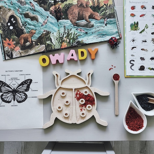Drewniana wysypywanka sensoryczna Biedronka