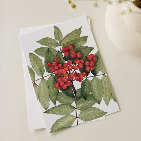 Plakat Jarzębina 30x40cm