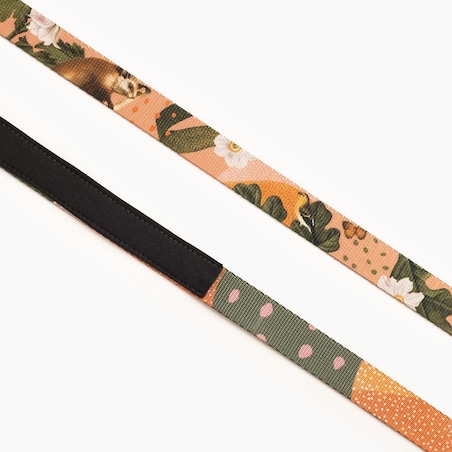 Smycz miejska dla psa lub kota "Wie wiórka co dobre" - Szerokość taśmy: 20mm, Rozmiar: M oraz Rodzaj: Mały karabinek