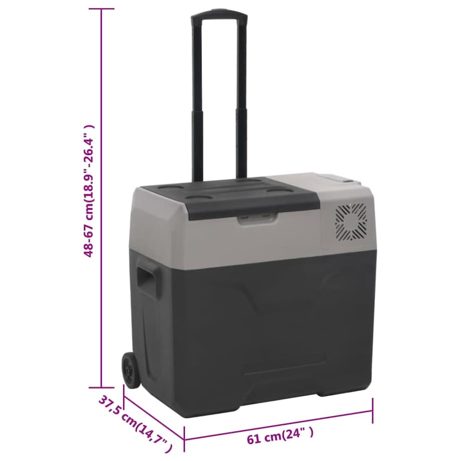vidaXL Lodówka na kółkach, z uchwytem, czarno-szara, 40 L, PP
