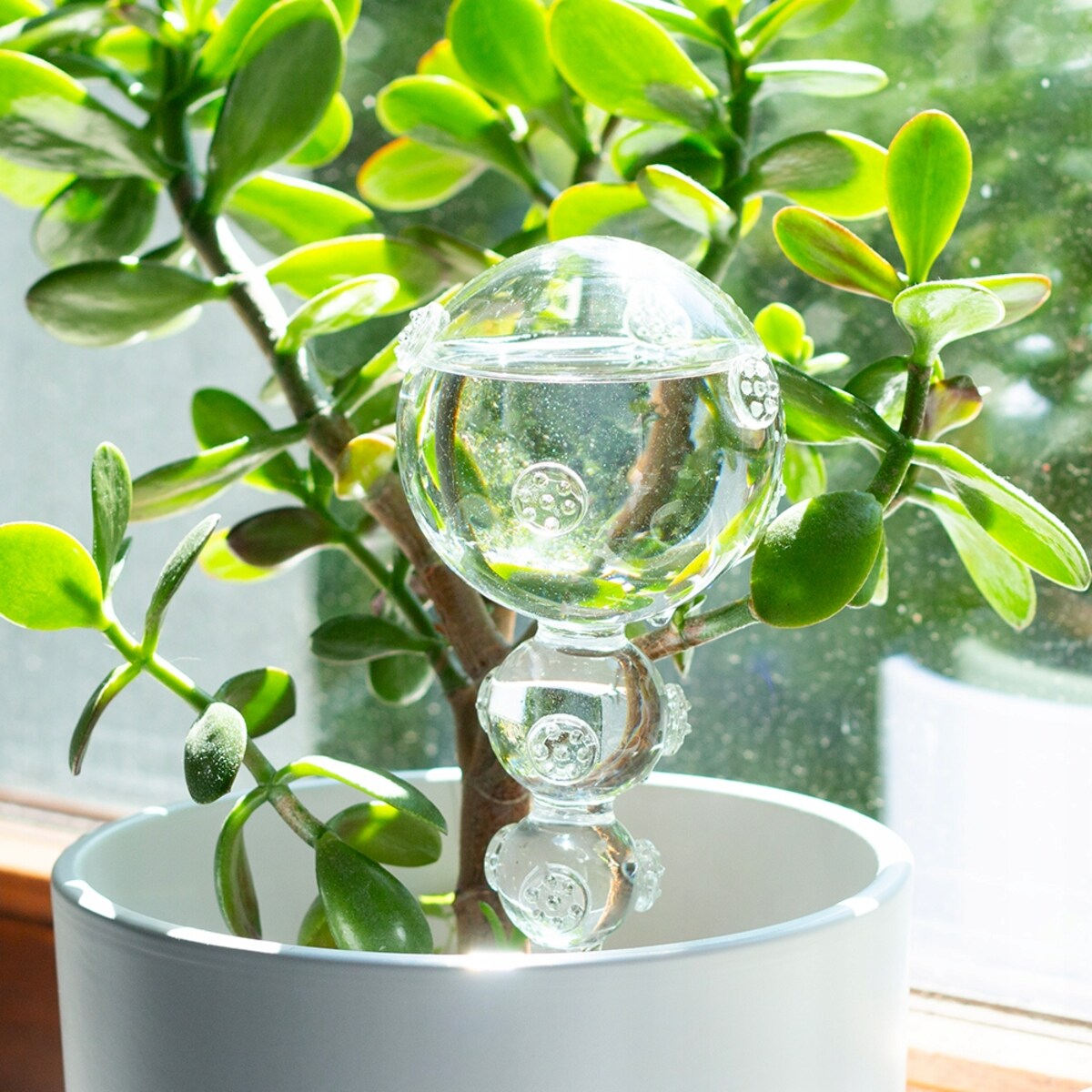 KULA NAWADNIAJĄCA SZKLANA nawadniacz do doniczek przezroczysty 370ml