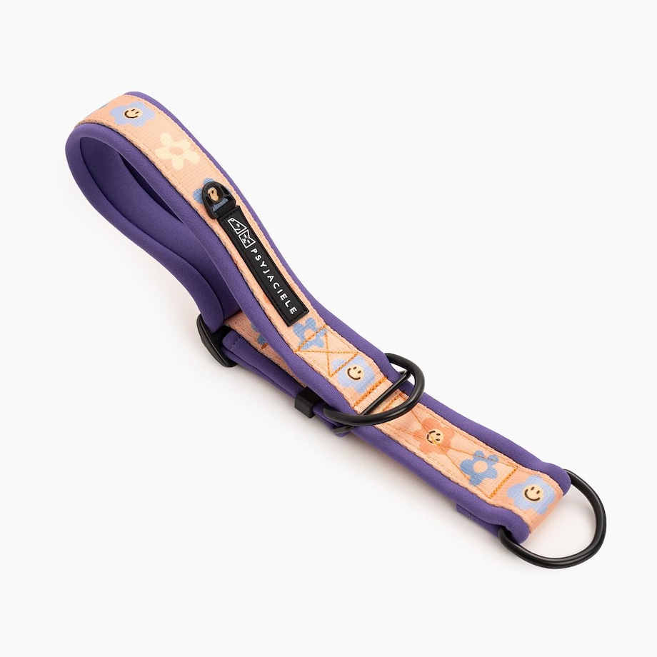 Obroża półzaciskowa SUPER SOFT "Oopsy Daisy" - Szerokość taśmy: 38mm, Rozmiar: M