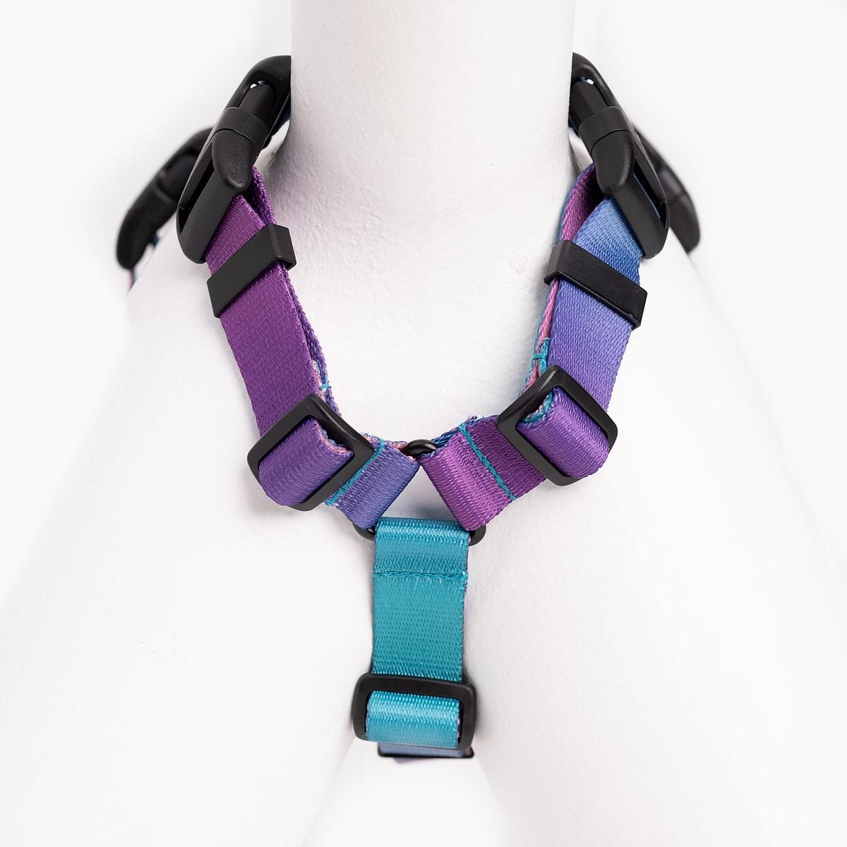 Szelki guard Stay on "Piesss" - Szerokość taśmy: 25mm, Rozmiar: M