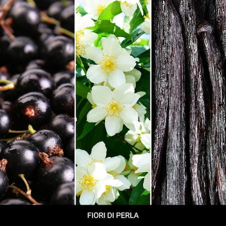 MM - Zawieszka zapachowa 3-pack FIORI DI PERLA