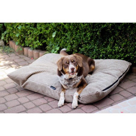 Legowisko poduszka dla psa MOLLY, 60x50 cm, Beż
