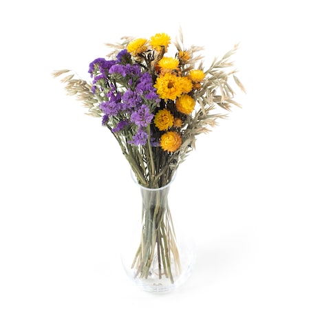 Zestaw suszonych kwiatów Autunno roz. S - zatrwian, kocanka, owies