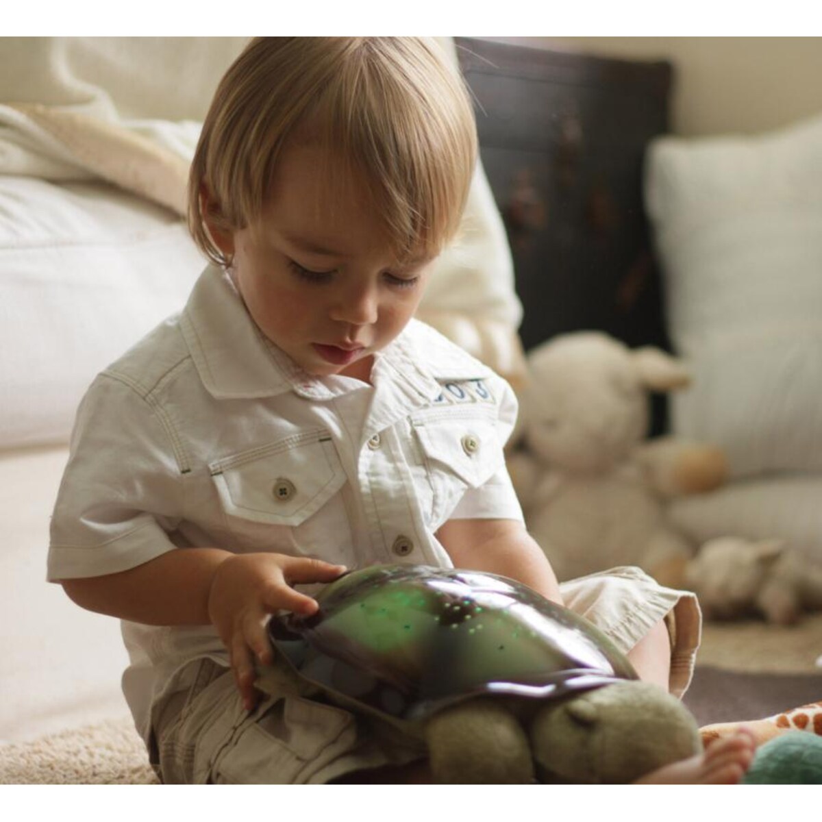 Projektor gwiezdny - Żółw brązowy - Cloud b® Twilight Turtle™