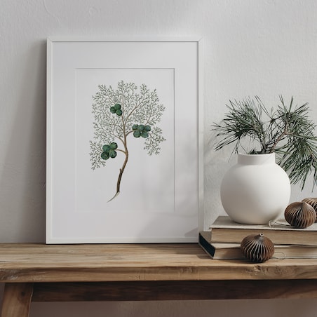 Plakat Cyprys 21x30cm