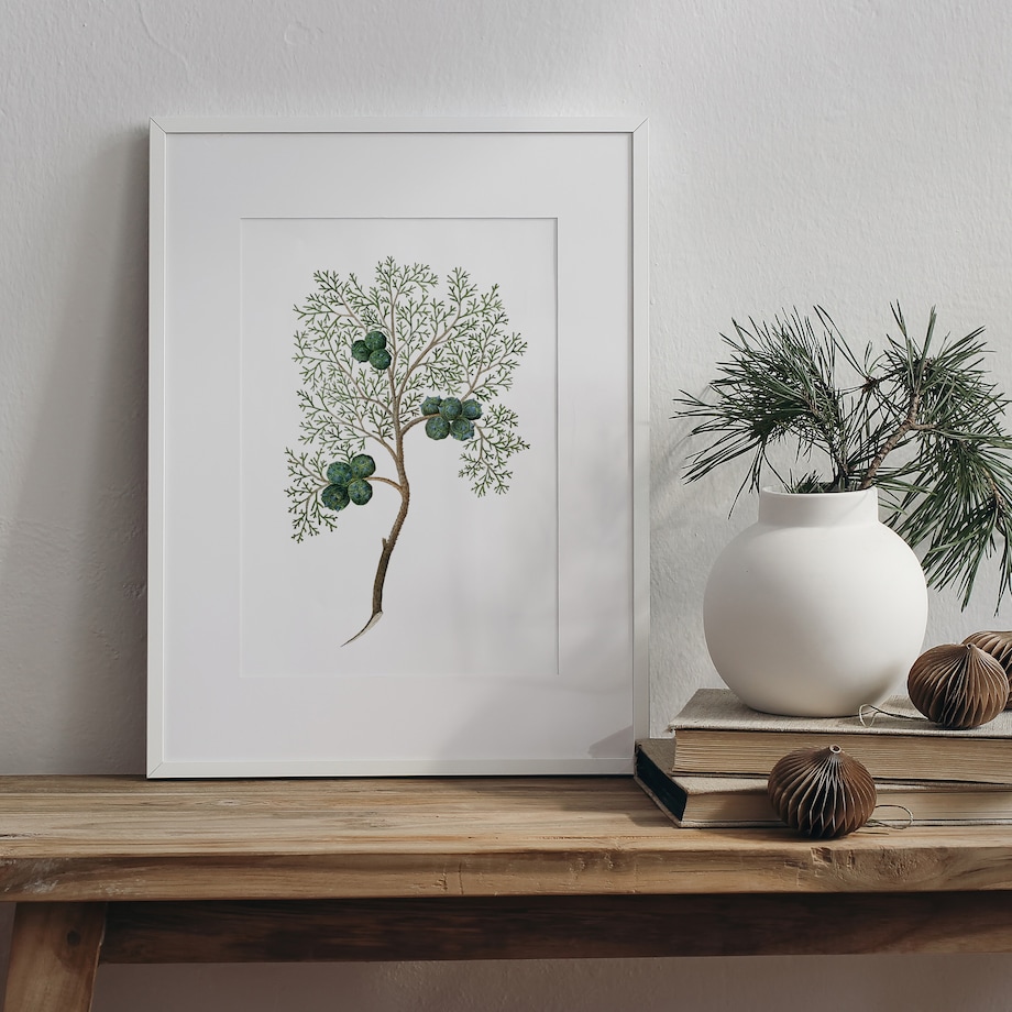 Plakat Cyprys 21x30cm