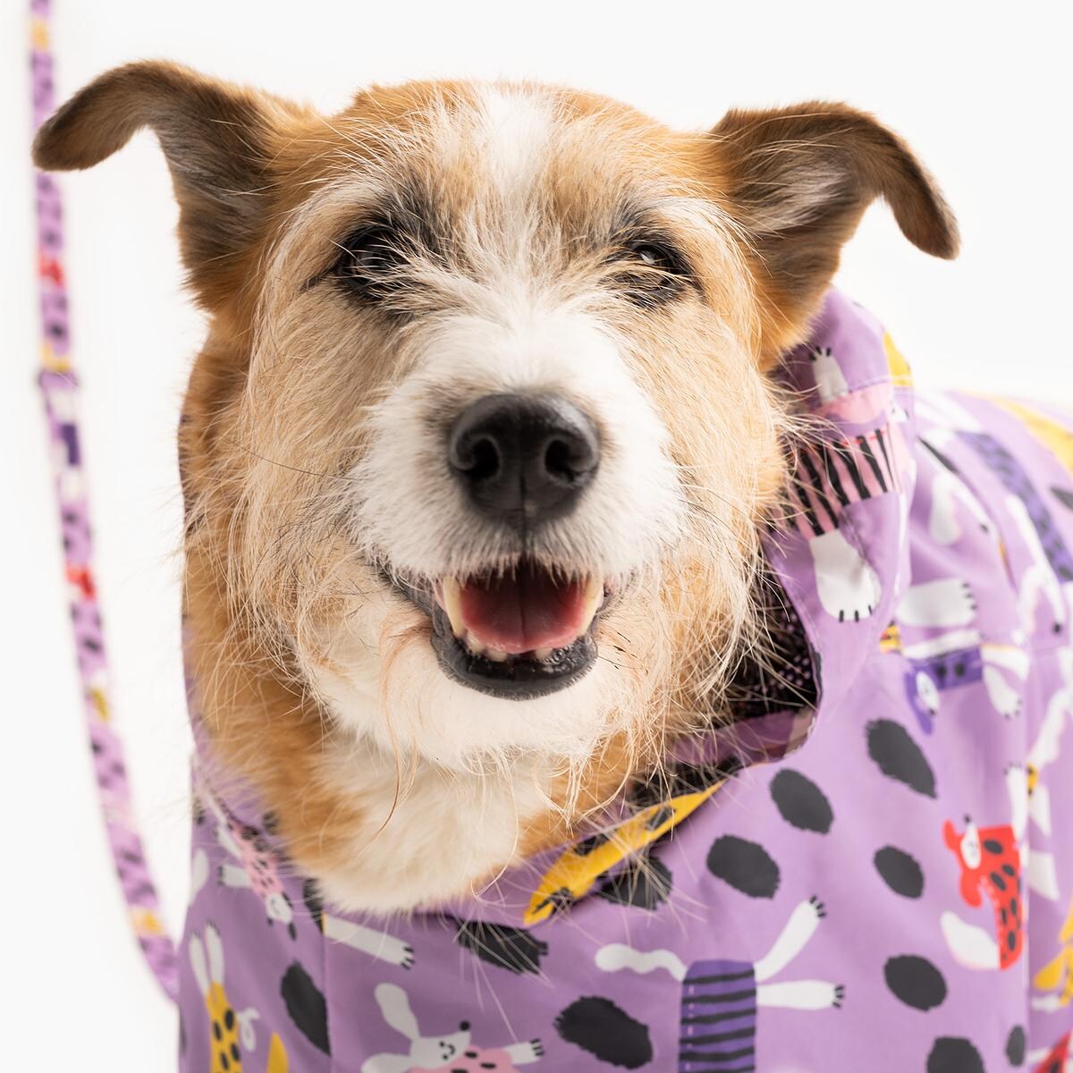 Płaszcz przeciwdeszczowy dla psa Pieski Floreski - Rozmiar: XS