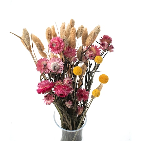 Zestaw suszonych kwiatów Oro roz. S - kraspedia, kocanka, phalaris