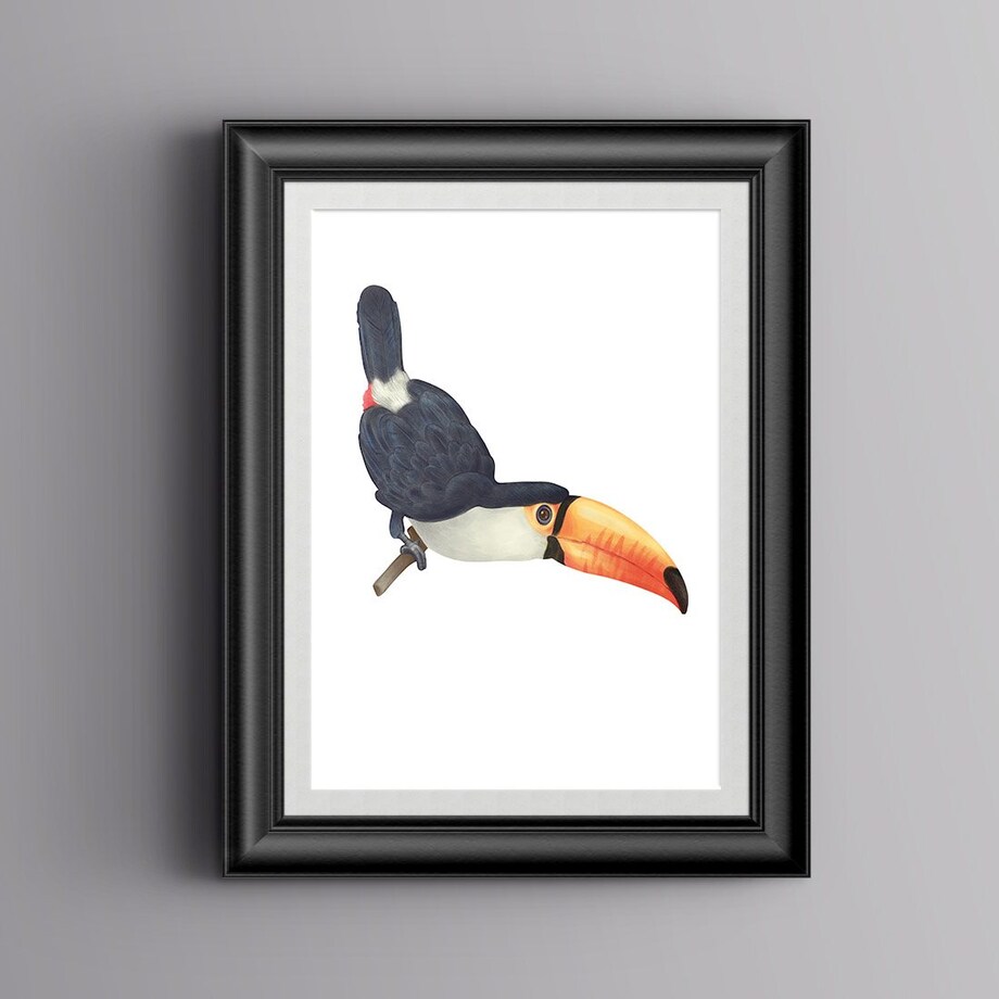 Plakat dla dzieci Tukan 50x70