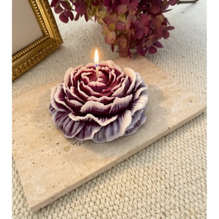 Świeca sojowa ekologiczna dekoracyjna piwonia peonia bordowa śliwkowa ombre "Peony Queen" 80x35mm