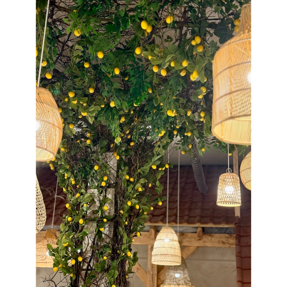 Instalacja z cytryn - drzewo cytrynowe 25m2