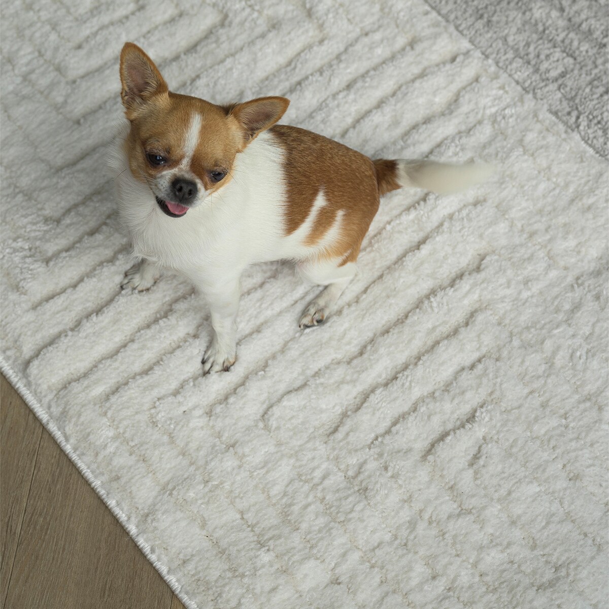 Dywan boho Avalon 80x150 cm e-floor OEKO-TEX kremowy