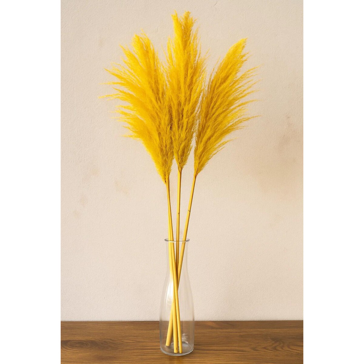 Zestaw 5 sztuk żółtych stabilizowanych Traw Pampasowych| Wysokość 160 cm