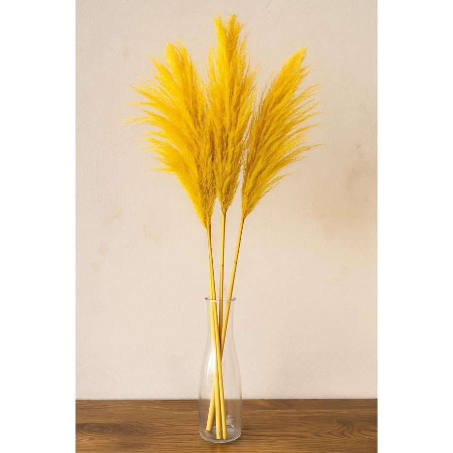 Zestaw 5 sztuk żółtych stabilizowanych Traw Pampasowych| Wysokość 160 cm