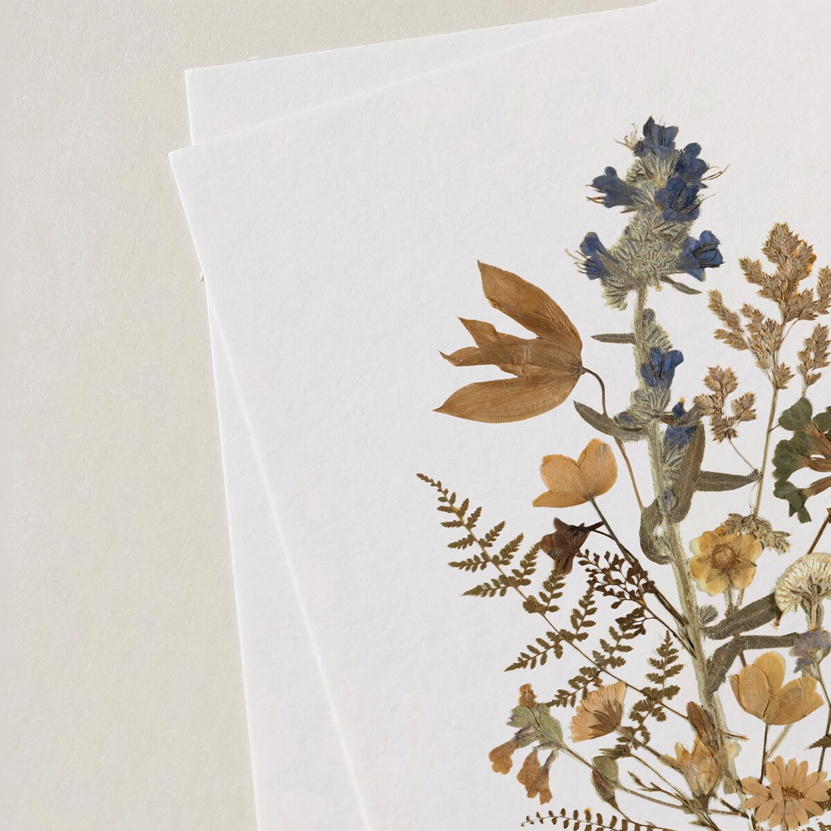 Plakat Suszki 30x40cm