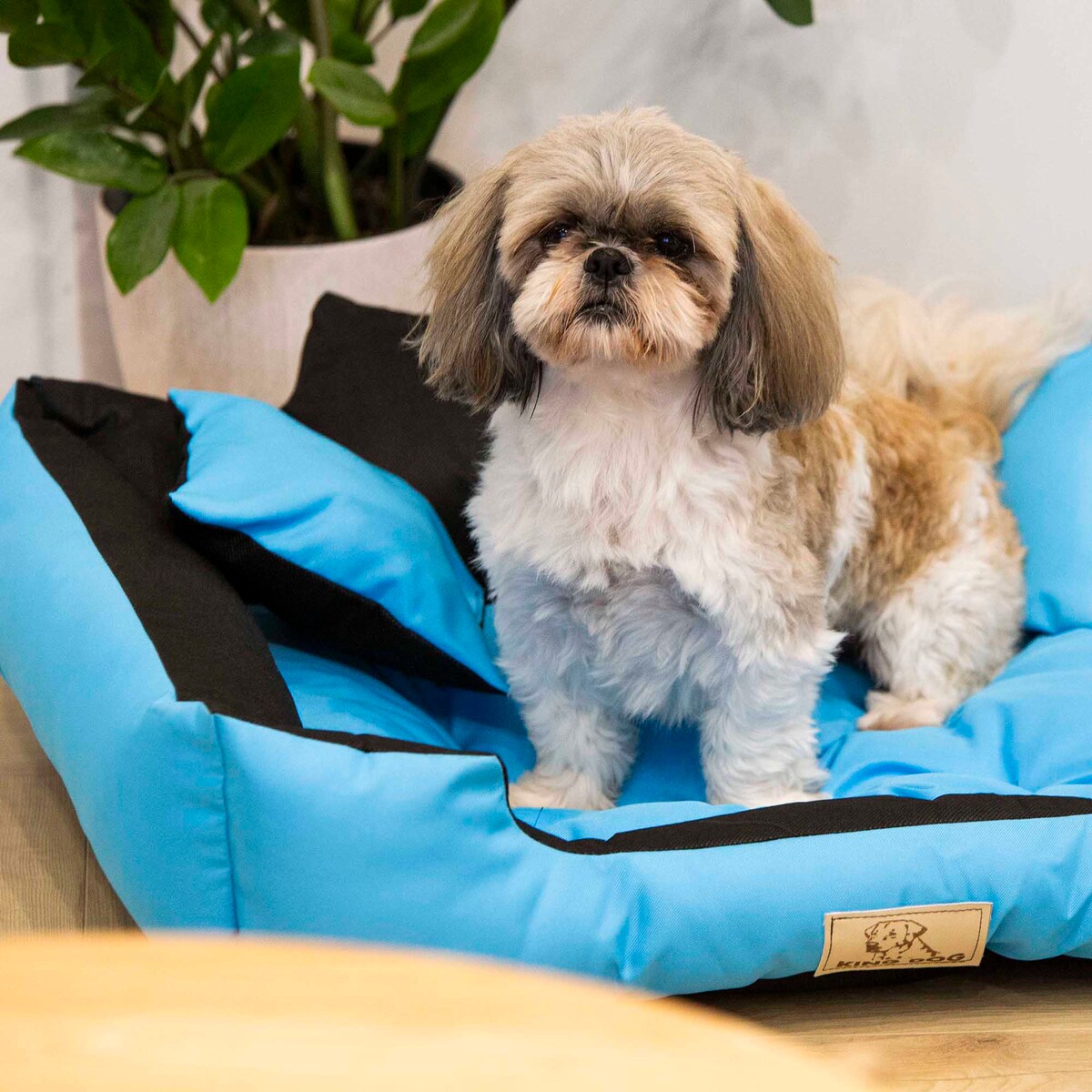 Legowisko Dla Psa 55X45 Cm Posłanie Kanapa Z Miejscem Na Imię Wodoodporne