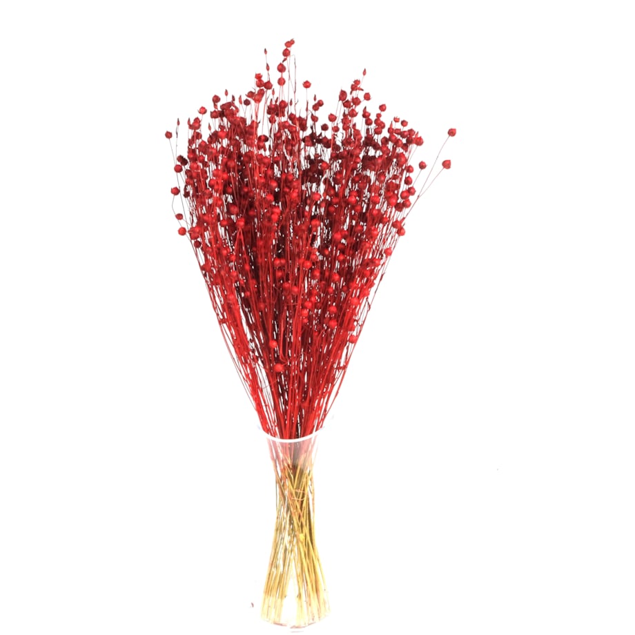 Suszony len czerwony - bukiet