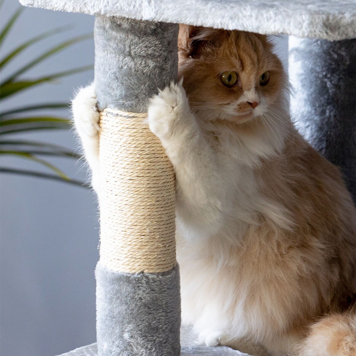 DRAPAK DLA KOTÓW SZARY 322137 XL