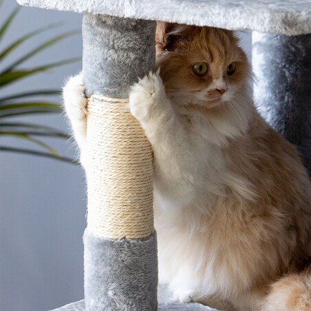 DRAPAK DLA KOTÓW SZARY 322137 XL