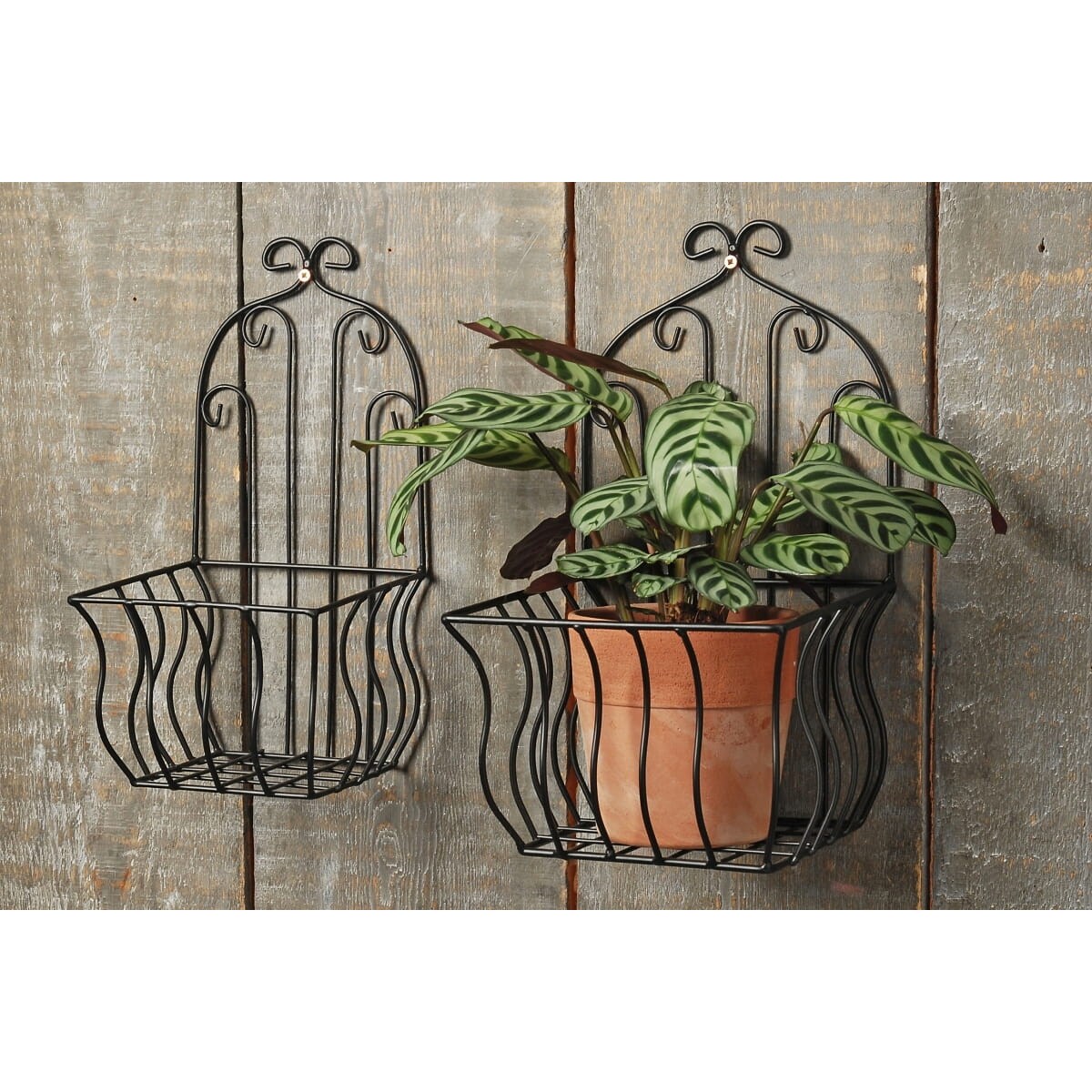 Wiszący Kwietnik Ścienny Osłonka na Kwiaty metalowa 32 cm do Powieszenia