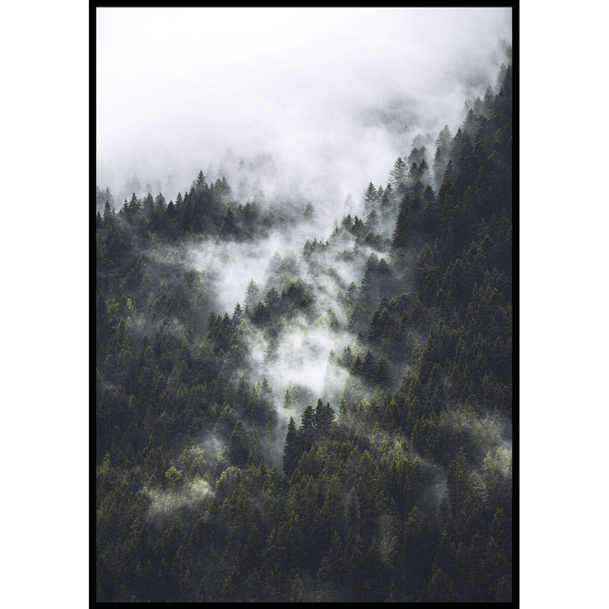 plakat las we mgle 30x40 cm