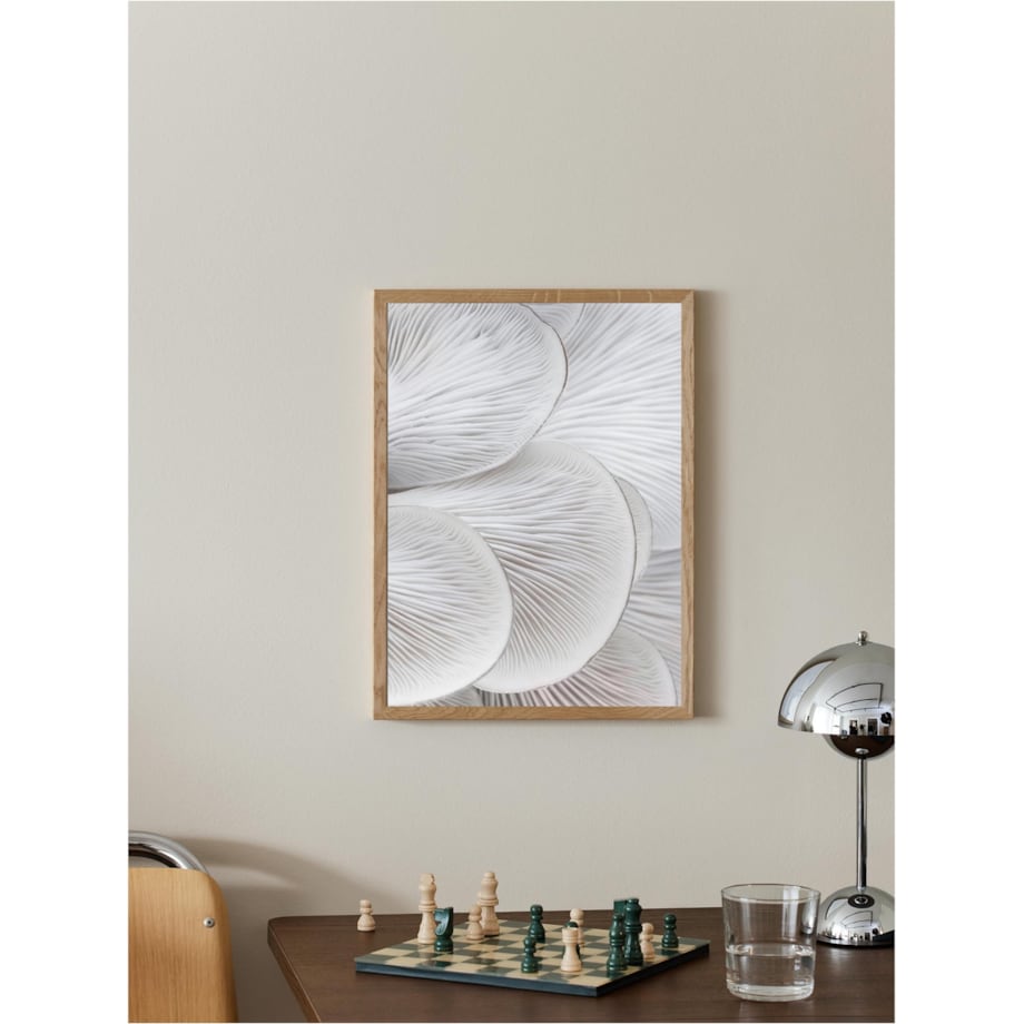 Poster Story, Plakat, Obraz - Skrzela Boczniaka No1, wymiary 30 x 42 cm