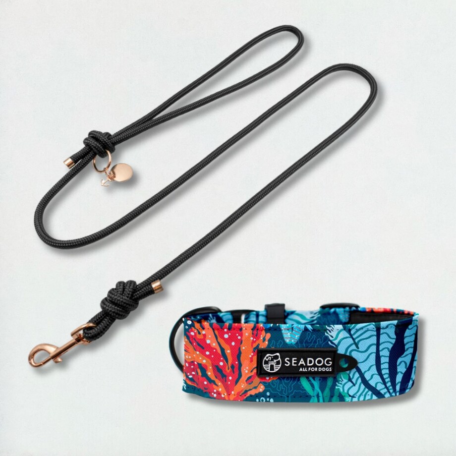 Zestaw: smycz sznurowa i szeroka obroża, rozmiar S