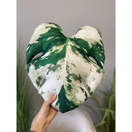 Poduszka Liść Monstera Variegata