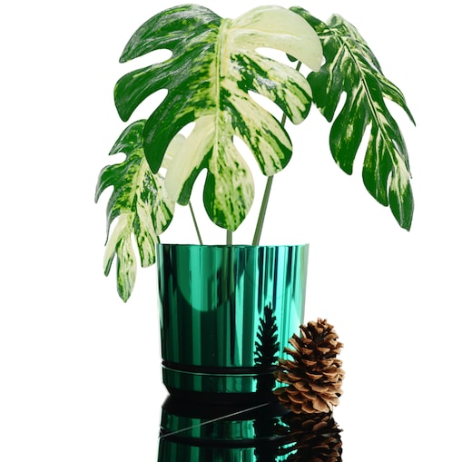 12 cm wzór ZIELONY BŁYSZCZĄCY Doniczka z podstawką nowoczesna glamour wysoki połysk metaliczny idealna do monstera orchidea