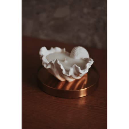 Świeca sojowa Muszla 100 g Biel NATURALNA