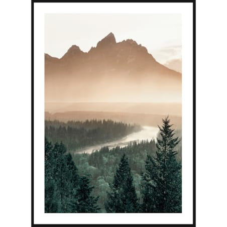 Poster Story, Plakat, Obraz - Las Sosnowy w Górach, wymiary 60 x 84 cm