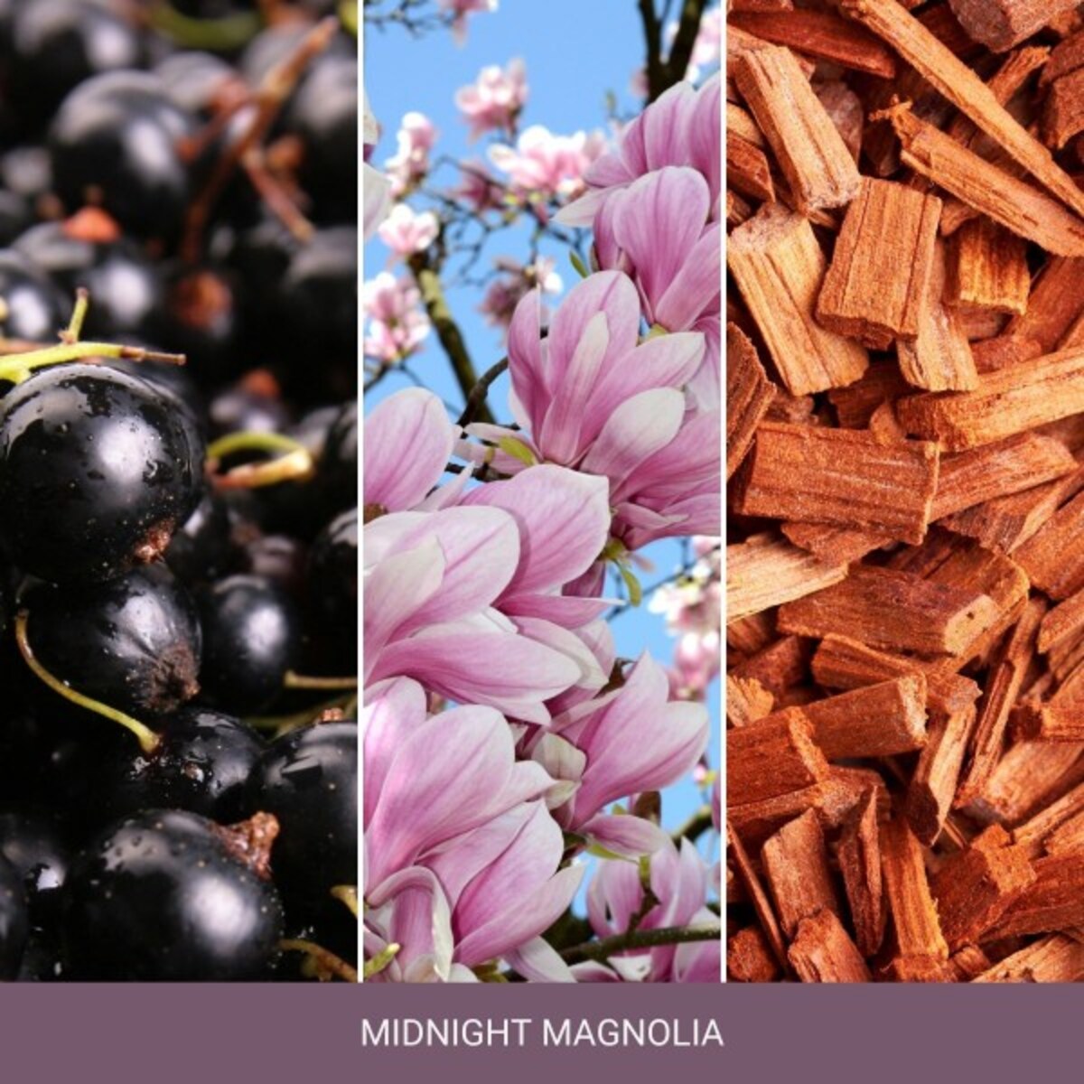 Home Inspiration wosk MIDNIGHT MAGNOLIA