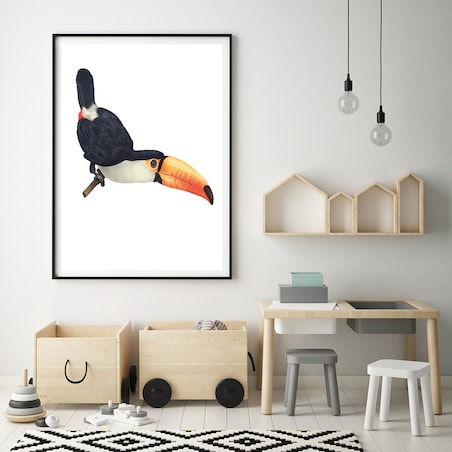 Plakat dla dzieci Tukan 40x50