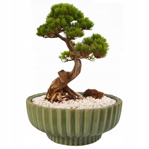 DONICZKA NA BONSAI 26cm okrągła osłonka na palmy kaktusy zielona ceramika