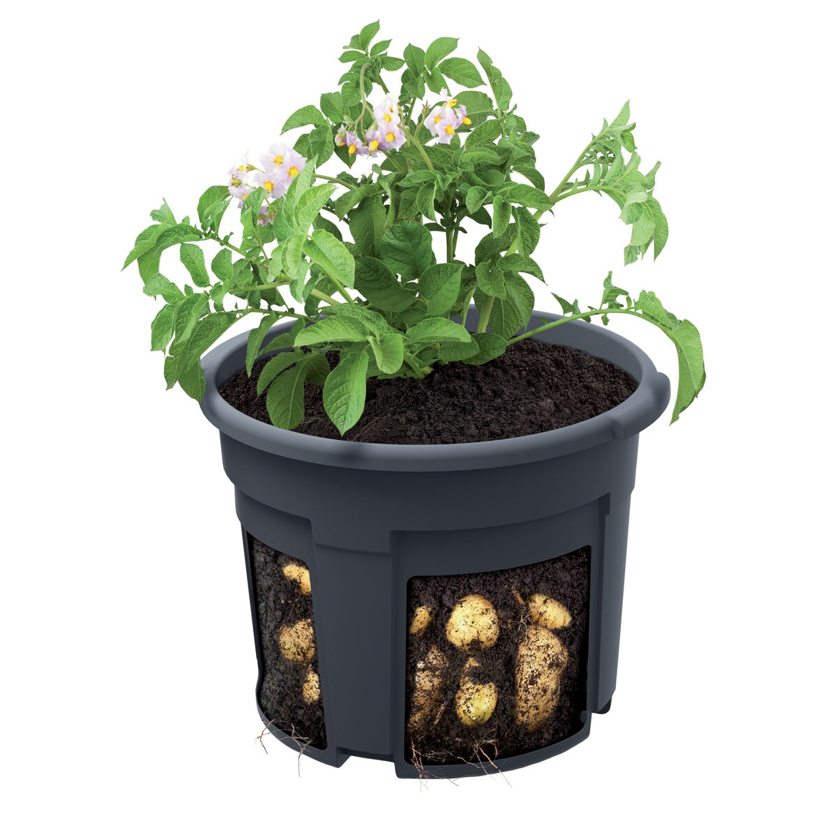 Doniczka Donica Do Sadzenia Ziemniaków Uprawy Warzyw 29,5 Cm