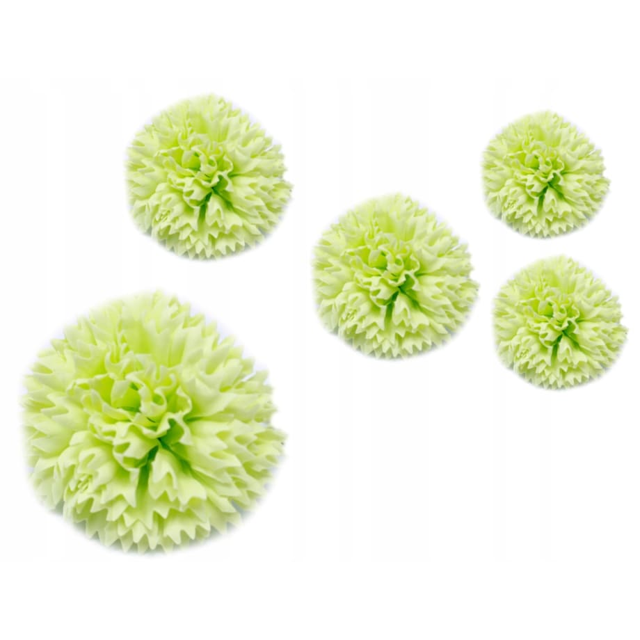 5x KWIATY MYDLANE goździk na UPOMINEK bukiet kobiet ZIELONY stroik pachną