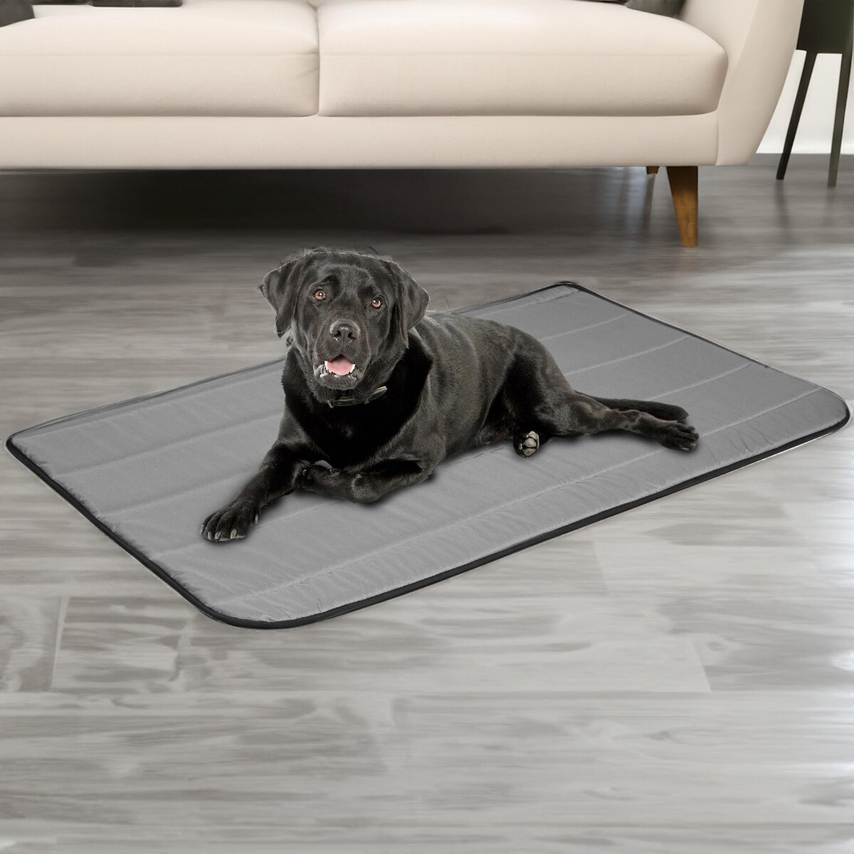 Legowisko Mata Dla Psa M Wodoodporne Antyalergiczne Materac 60X80 Cm